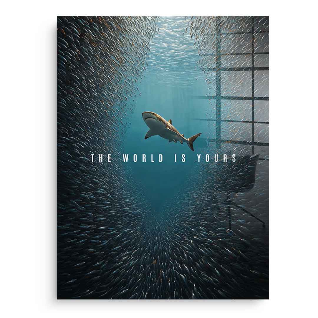 THE WORLD IS YOURS - Acrylglas