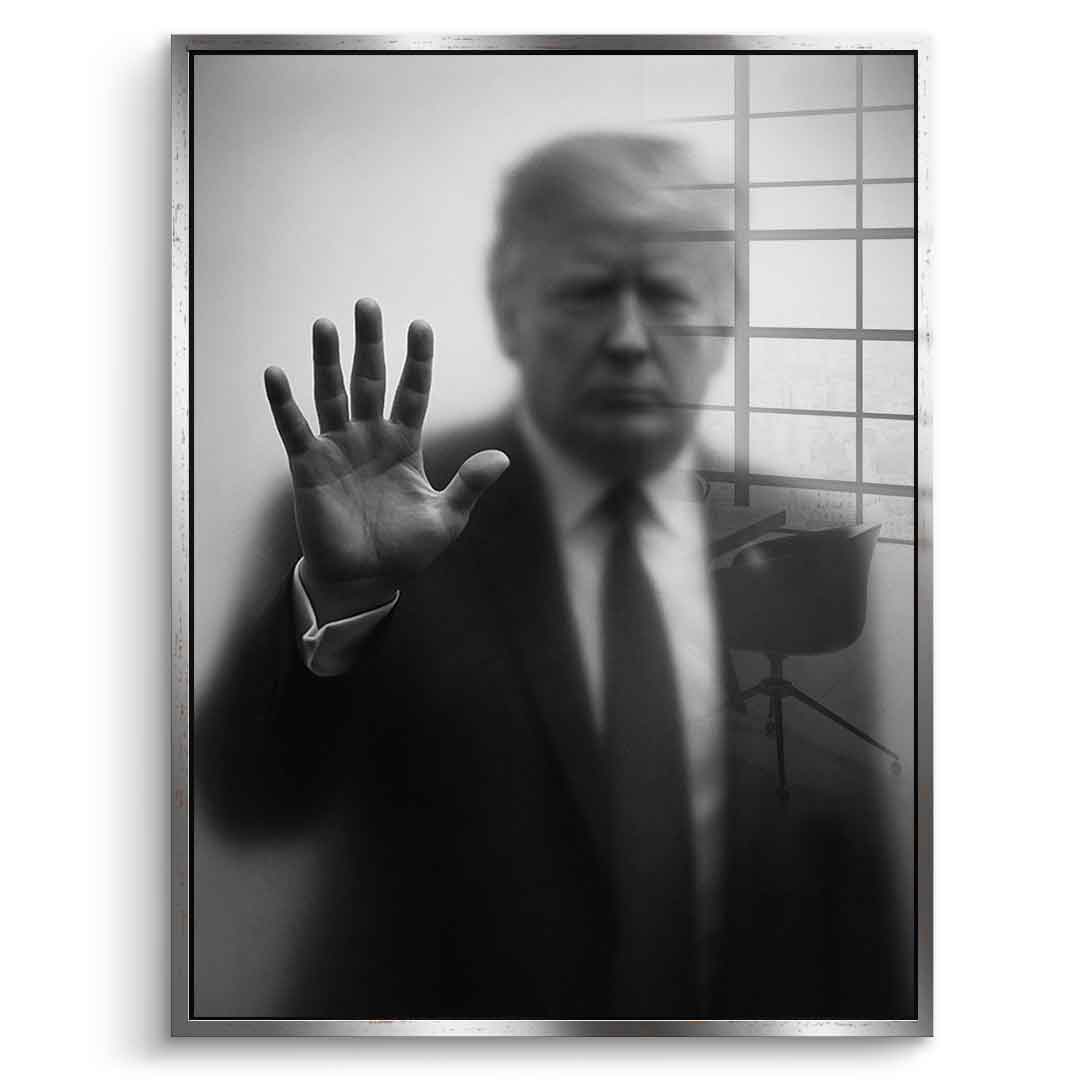 Trump's Silhouette - acrylic glass