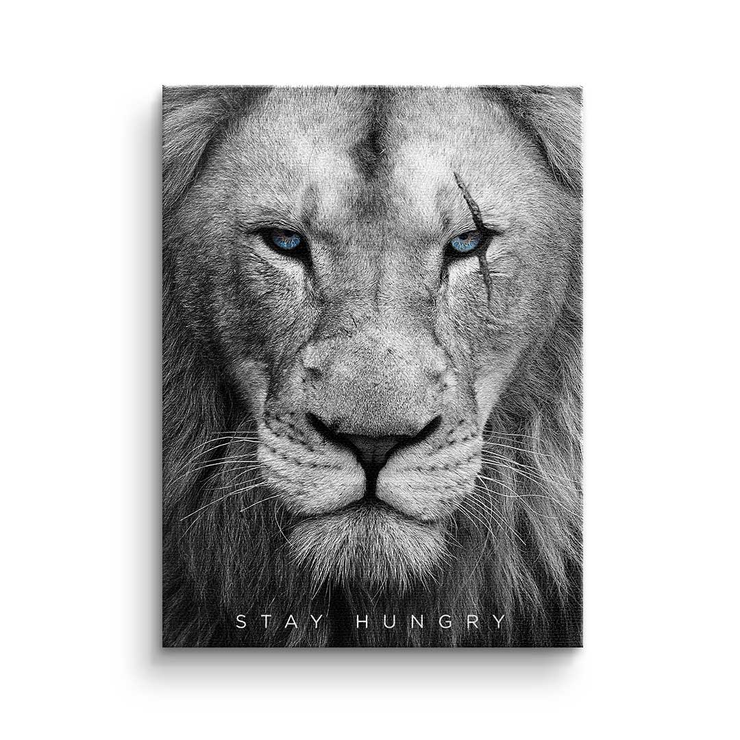 Animal face - Leinwand 4x