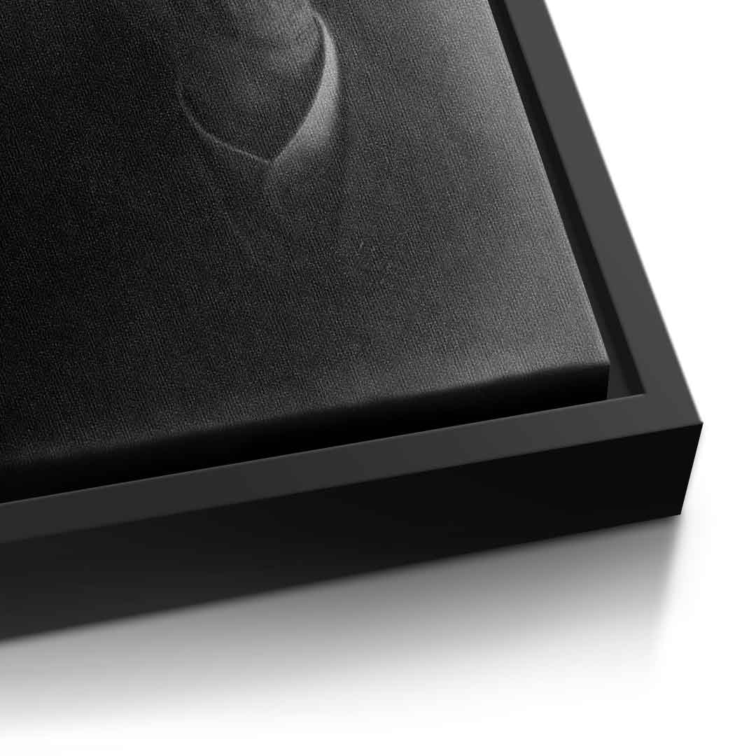 J. Belfort's Silhouette