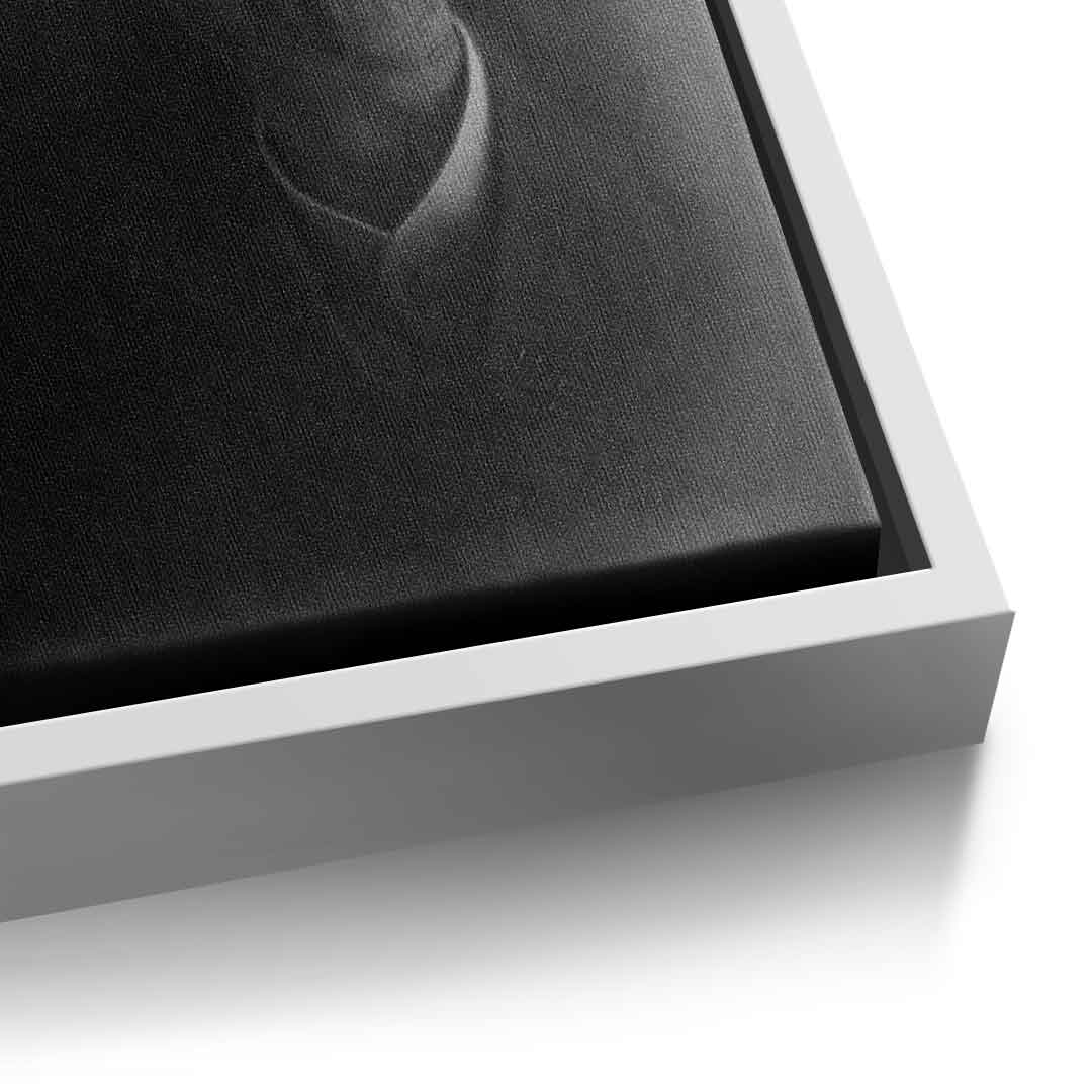 J. Belfort's Silhouette