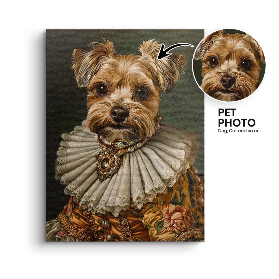 Renaissance 4 customizable