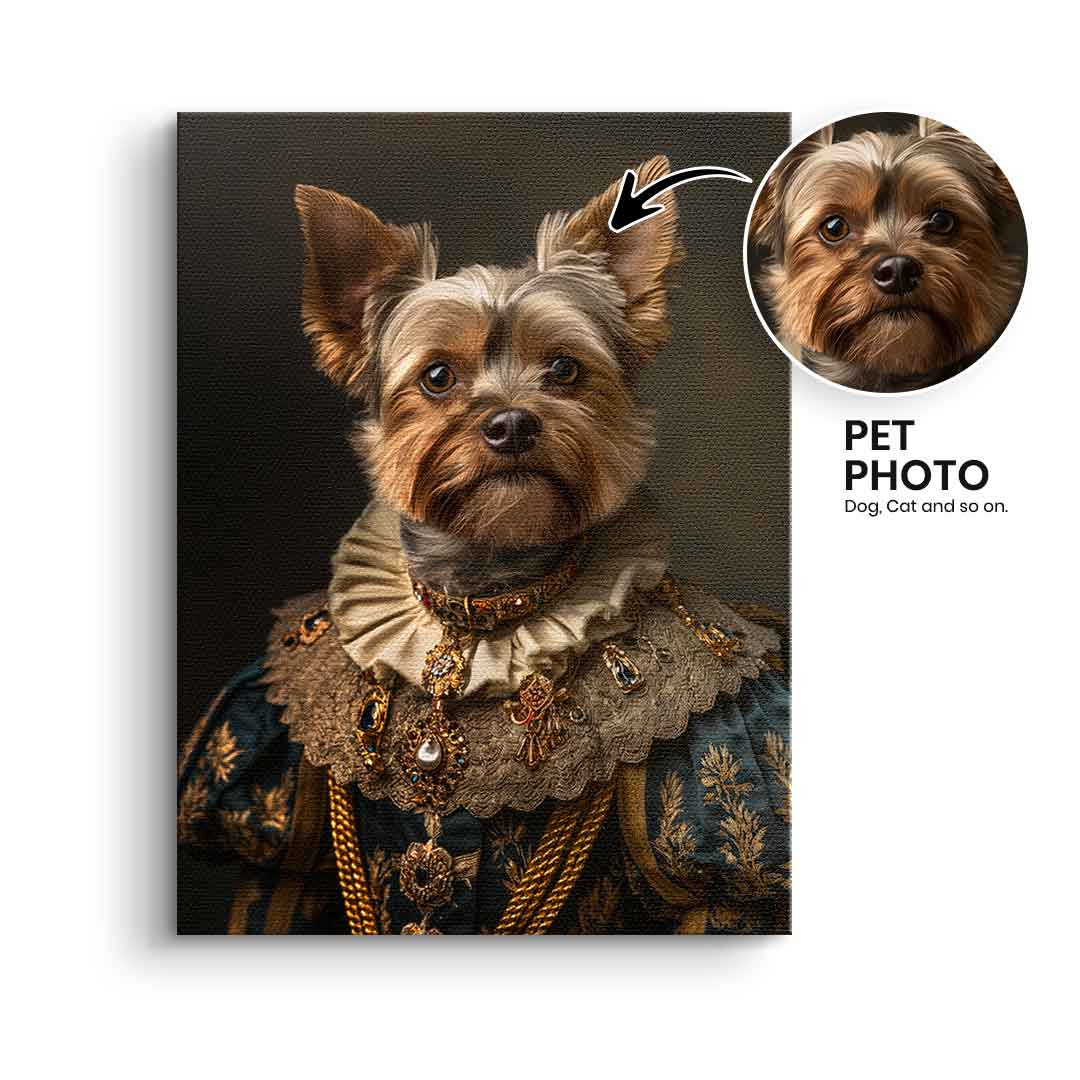 Renaissance 2 customizable