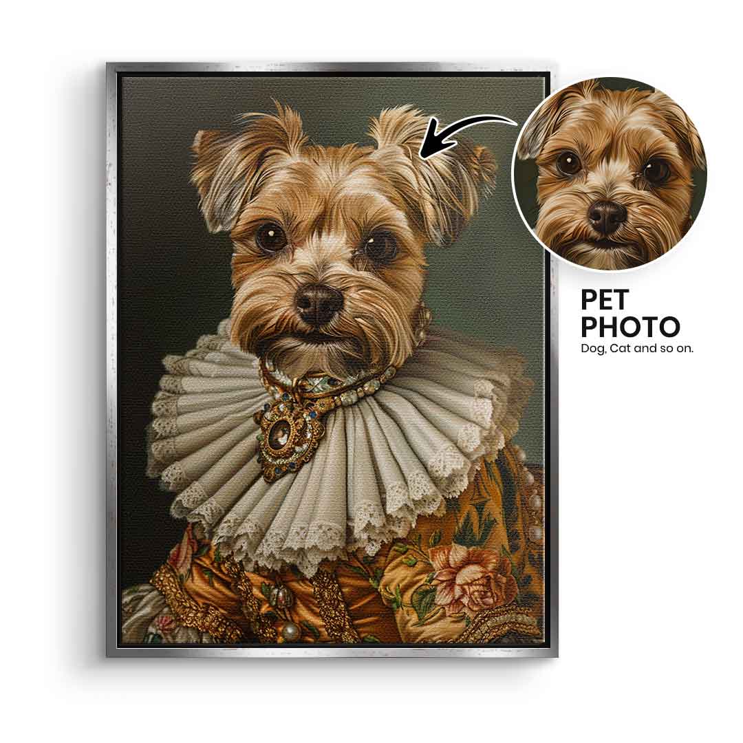 Renaissance 4 customizable