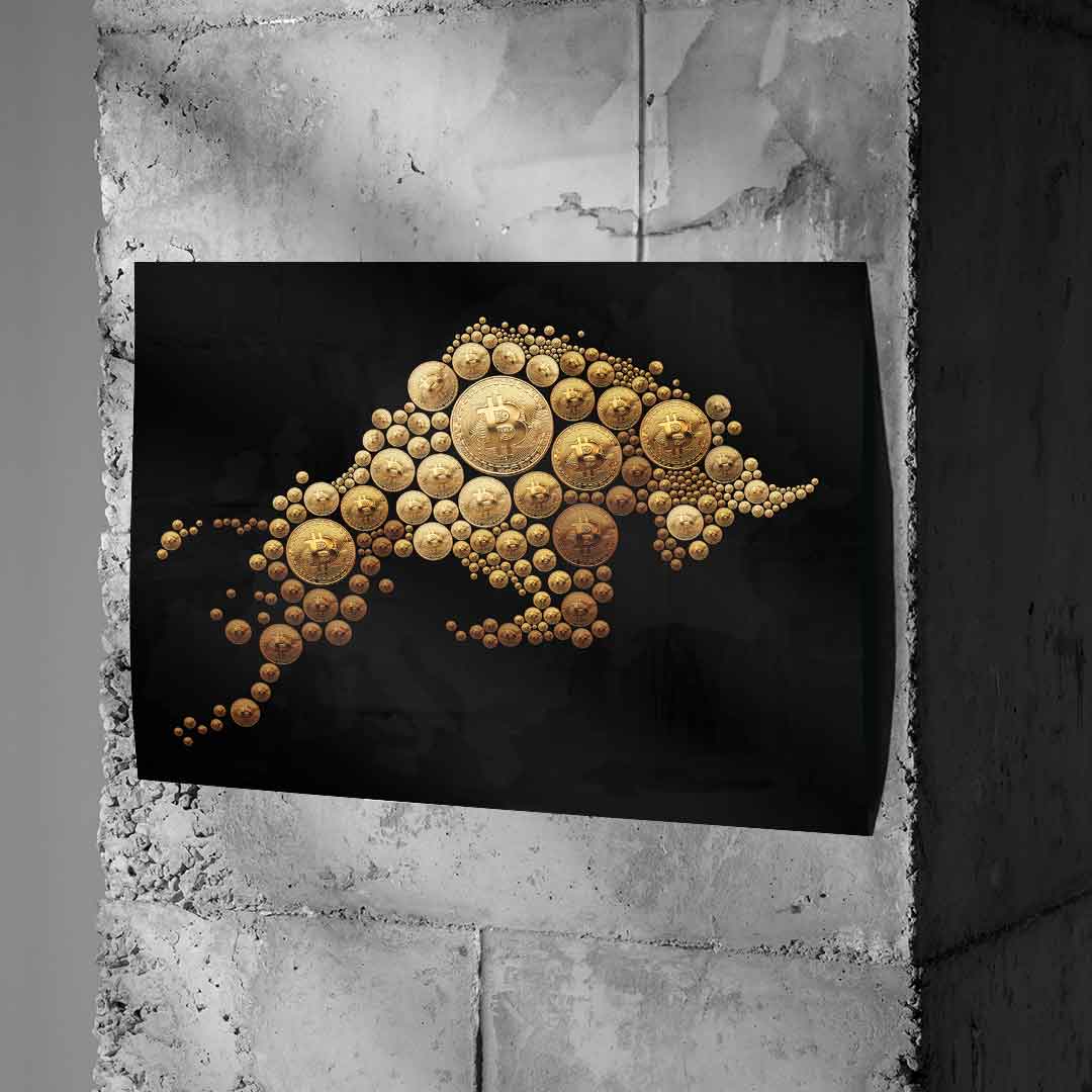 Bitcoin Bulle - Poster