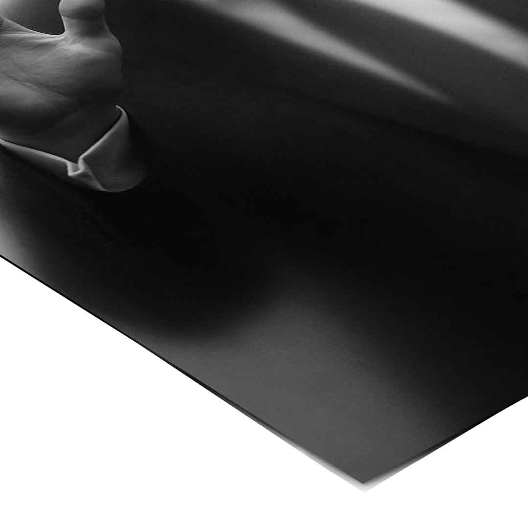 Trump's Silhouette - Poster