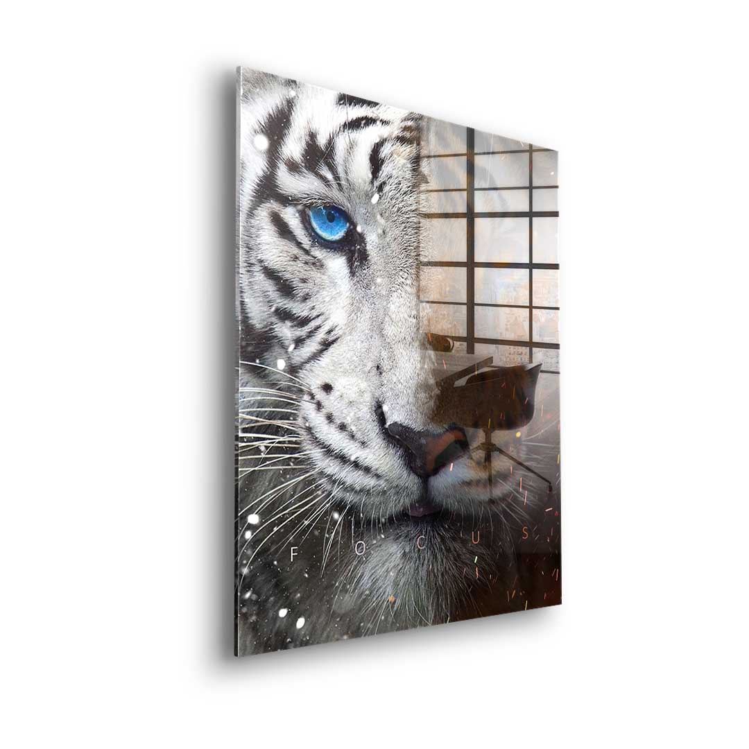 Focus Face - Acrylglas