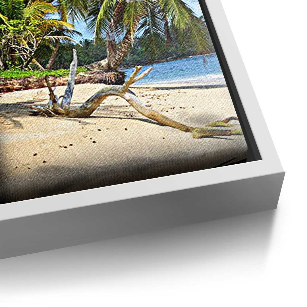 The Way to your Dreams