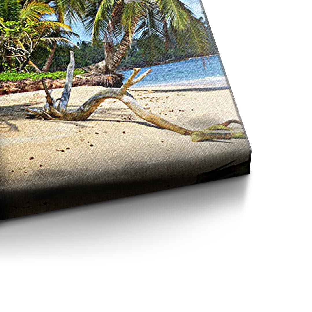 The Way to your Dreams